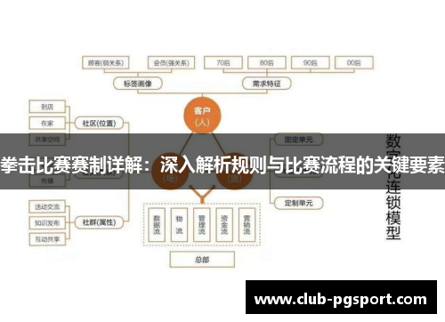 拳击比赛赛制详解：深入解析规则与比赛流程的关键要素