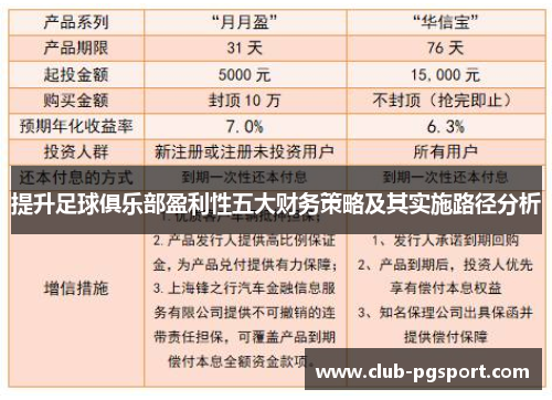 提升足球俱乐部盈利性五大财务策略及其实施路径分析