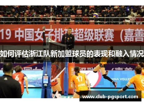 如何评估浙江队新加盟球员的表现和融入情况