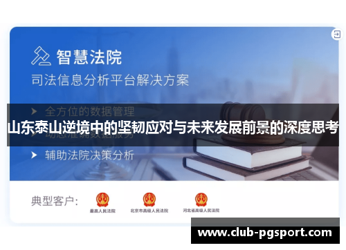 山东泰山逆境中的坚韧应对与未来发展前景的深度思考