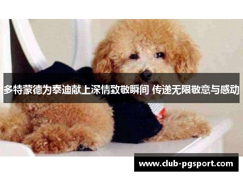 多特蒙德为泰迪献上深情致敬瞬间 传递无限敬意与感动