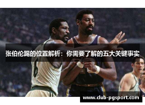 张伯伦踢的位置解析：你需要了解的五大关键事实