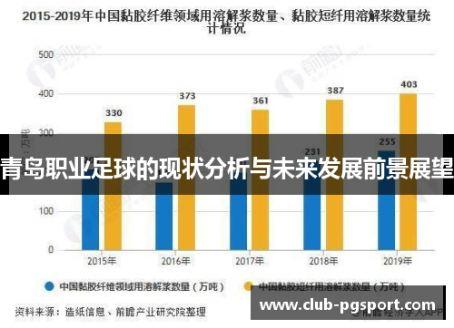 青岛职业足球的现状分析与未来发展前景展望