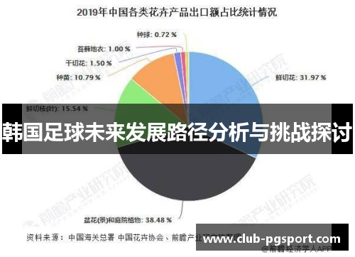 韩国足球未来发展路径分析与挑战探讨
