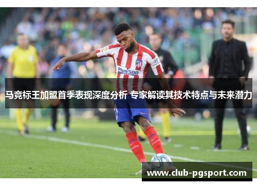 马竞标王加盟首季表现深度分析 专家解读其技术特点与未来潜力