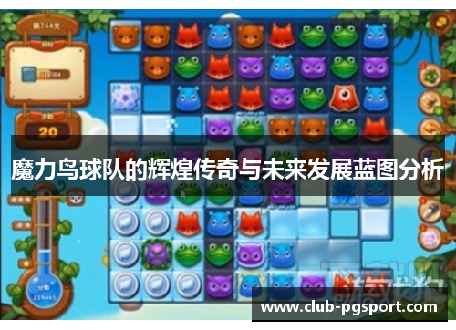 魔力鸟球队的辉煌传奇与未来发展蓝图分析